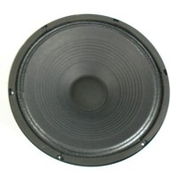 Alto falante de 12" 100 rms